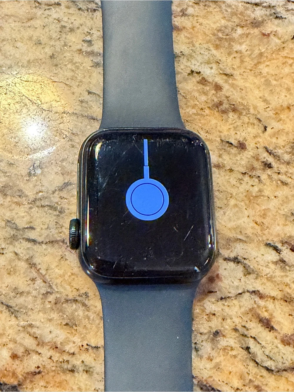 Apple Watch SE